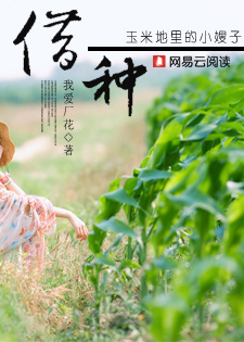 借种玉米地里的女人