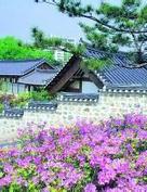 小院前传之小赌怡情