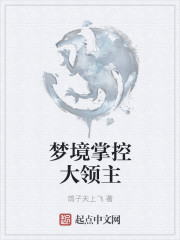 梦境掌控大领主