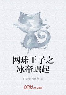 网球王子之冰帝崛起