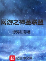 网游之神圣联盟