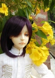 尺寸错误的拇指先生