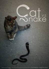 (BL、兽人)猫入虎穴