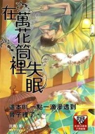 在万花筒里失眠(实体书出版)