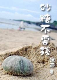 《砂糖不要钱》－－决战星势力徵文