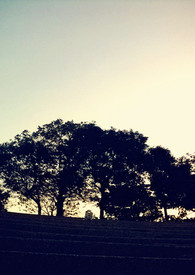 如果如果的如果。