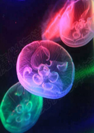 应家系列1-弟弟总裁不对盘