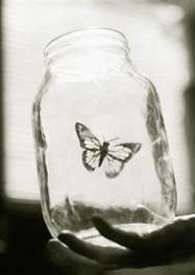 ????　弑爱　????