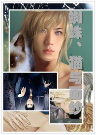 蜘蛛、猫与面纱