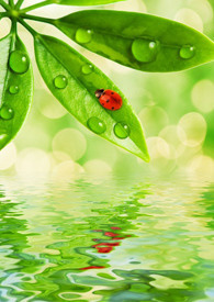 【BL】清水短文