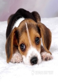 让我爱上你(GL)(繁/简)