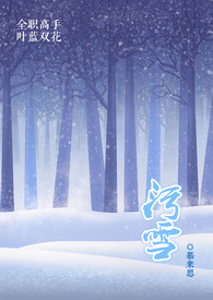 （bl）污雪