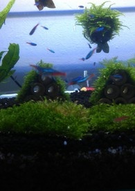 亲爱的是你是你